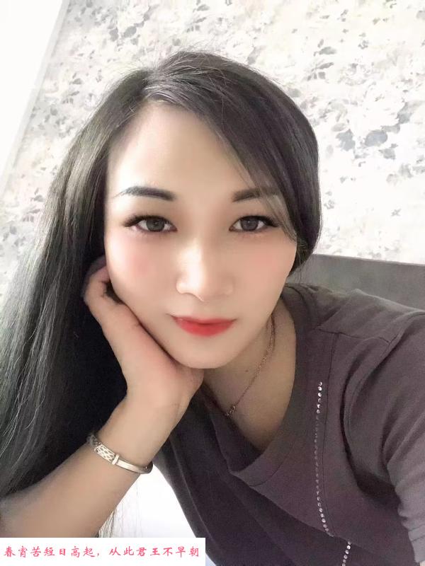 树木岭菲菲 第1张