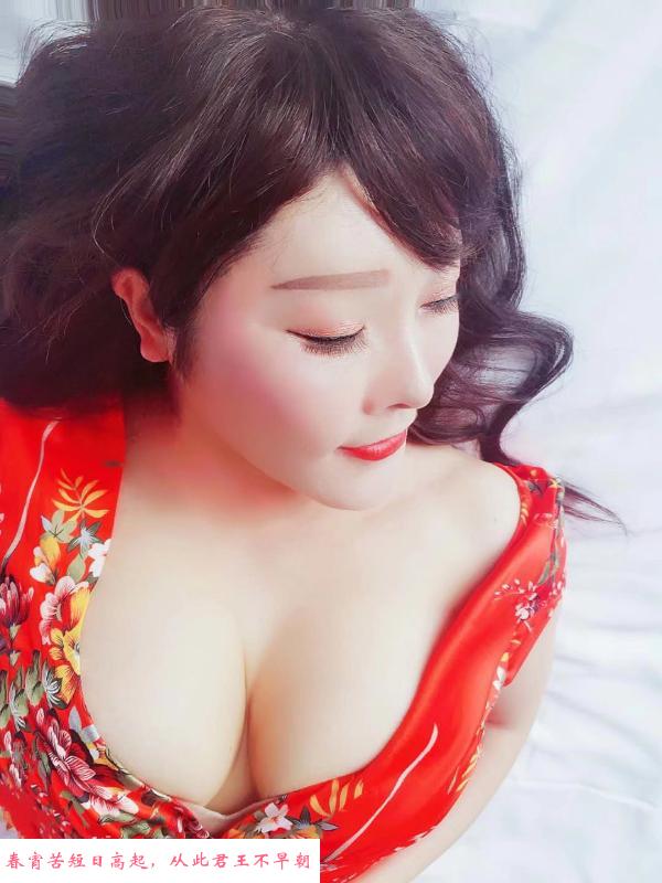 西乡红牌燕子 第2张