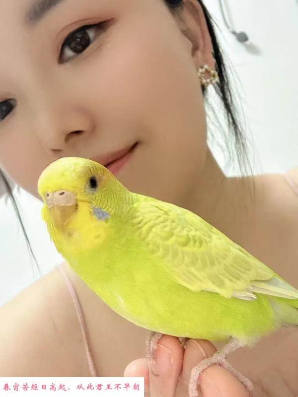 中项小姐姐 第3张