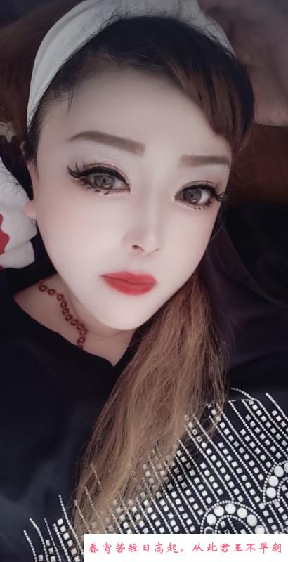 哈市熟女可无套 第1张