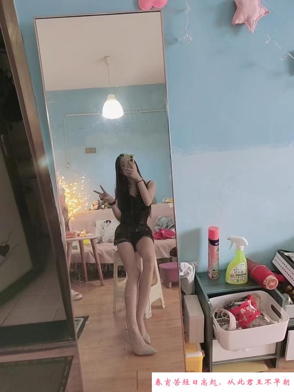 杨家湾贝贝 第2张