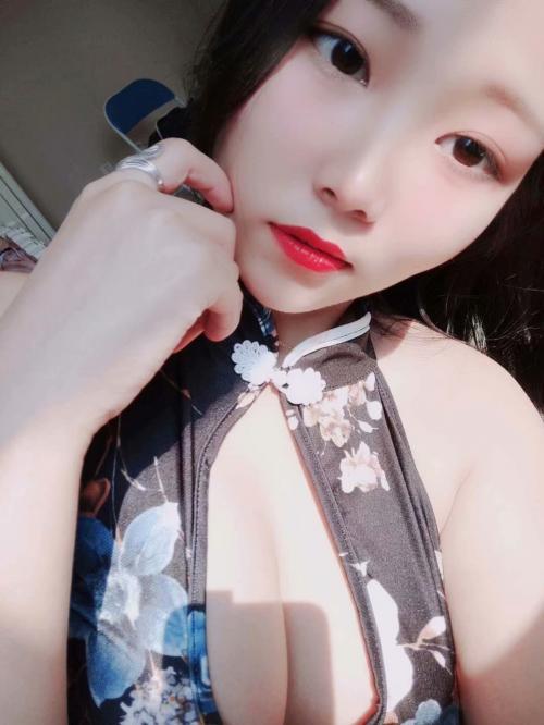 沈河区萌萌兔 第1张